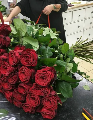 Букет 51 красная импортная роза, 80 см, заказ и доставка в Киеве | TORY