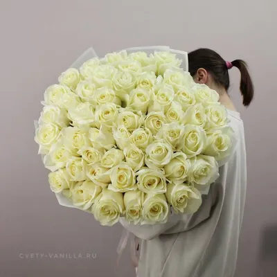 51 красная роза, 80 см купить в Киеве: цена, заказ, доставка | Магазин  «Камелия»