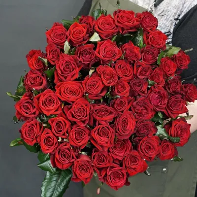 А) 51 Роза \"Ред Наоми\" 80 см и скидки в интернет магазине цветов Роз  Новоросс