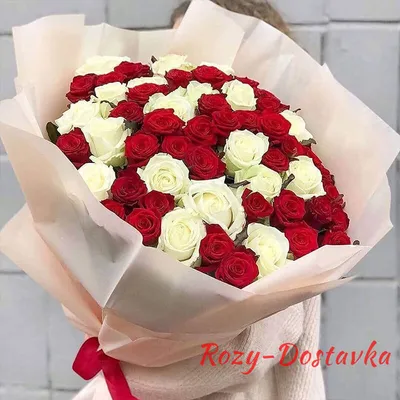 Букет «Роза красная 80 см 51 шт Премиум» - заказать и купить за 19 690 ₽ с  доставкой в Омске - партнер «Абари»