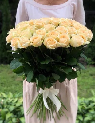 51 бордовая роза Эквадор 70-80 см купить в Нижнем Новгороде