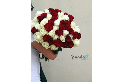 51 красных роз 80 см купить недорого с доставкой круглосуточно в Москве