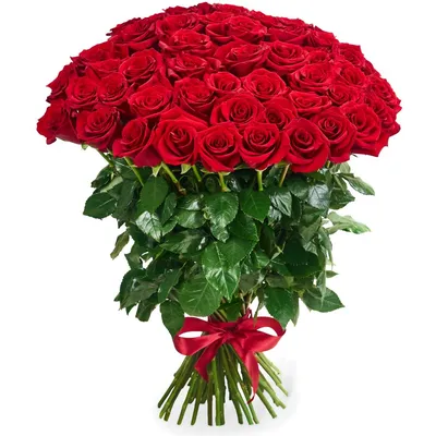 Купить Букет из 51 розы Explorer 80 см с бесплатной доставкой в Краснодаре