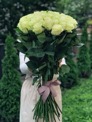 Купить 51 розу микс белых и красных 80 см - pandafl.com.ua