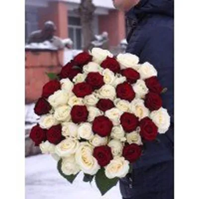 51 красно-белая роза 80 см купить с доставкой в Москве недорого