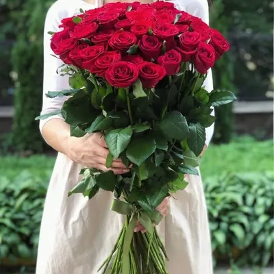 Купить 51 красную розу 80 см с доставкой в Москве | цветы-24.москва