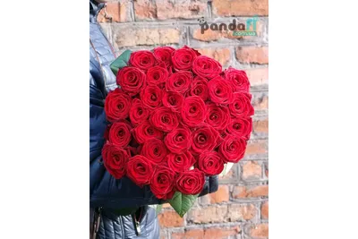 Букет из 51 красной розы 80 см 9300 руб. Длинные розы от 96 руб. Роза  Эквадор 80 см дешево купить. - Купить розы дёшево Эквадор 80 руб. Доставка  роз СПб 🌹SPBROSA