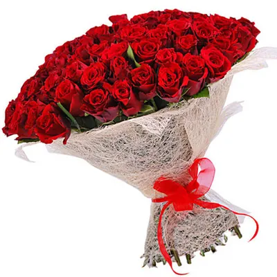 51 высокая красная роза 80 см с шелковой лентой с бесплатной доставкой на  дом из «ВкусВилл» | Пермь