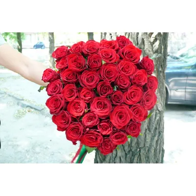 51 кустовая красная роза Рубикон 80 см| доставка по Москве и области