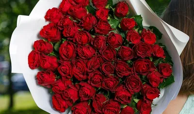 51 бело-розовая роза (40 см) заказать с доставкой в Челябинске - салон  «Дари Цветы»