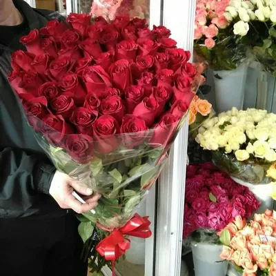 51 розовая роза от Lotlike.ru. Купить цветы