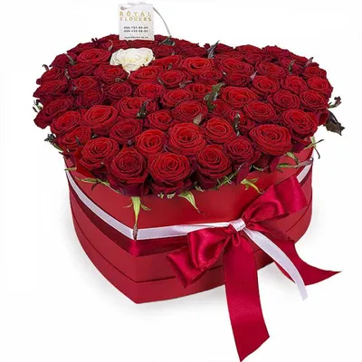 Букет 51 роза Красная №79 - 🌹 Цветы Новосибирск заказ: