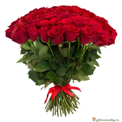 51 красная роза сорт: Гран-При в коробке Сердце . Купить с доставкой Днепр  |royal-flowers.dp.ua
