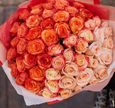 Какие розы дарить девушке: советы флористов