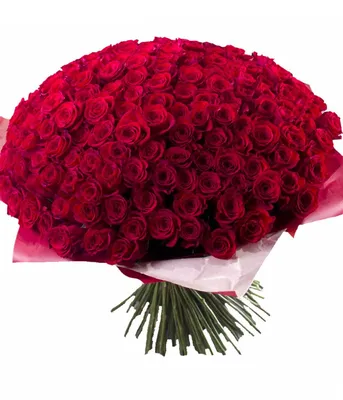 Букет для девушки – розы с доставкой по Москве и Московской области
