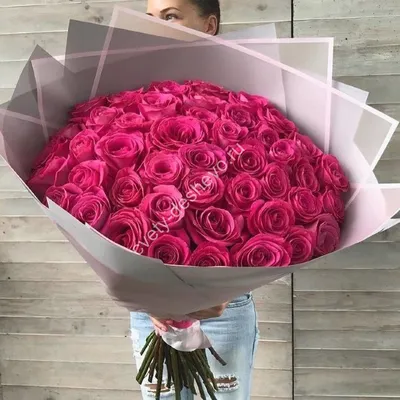 51 роза 70 см – купить с доставкой в Москве по низкой цене