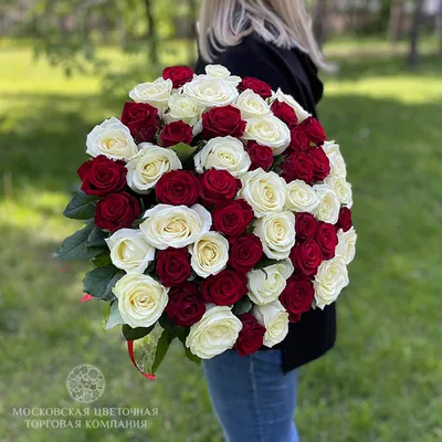 Букет из 51 розы Гран При 🌺 купить в Киеве с доставкой - цена от Камелия