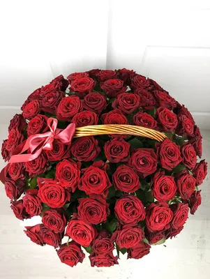 Купить Шикарная 51 роза в Краснодаре