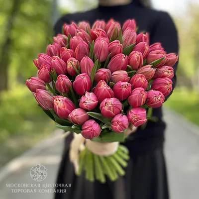 51 Тюльпан Пионовидный \"Микс\" и скидки в интернет магазине цветов Роз  Новоросс