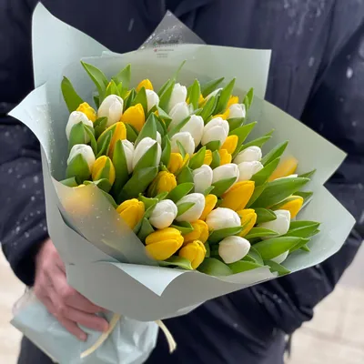 Заказать 51 тюльпан микс в Киеве