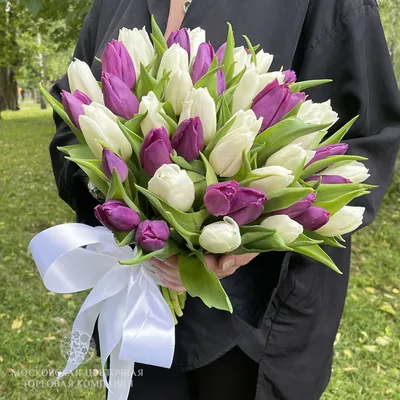 Букет 51 премиальный тюльпан, фиолетово-розовые купить за 12 390 руб. с  круглосуточной доставкой | Мосцветторгком