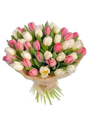 Букет из 51 тюльпанов в Оренбурге купить, заказать с доставкой - Fleur
