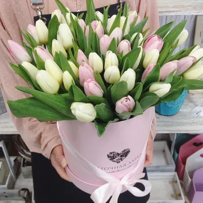51 тюльпан купить с доставкой по цене 450 ₽ в Нижнем Новгороде | Букеты от  База Цветов 24