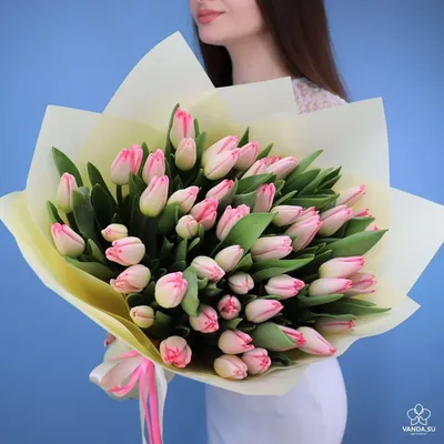 Букет 51 тюльпан \"Теона\" купить в Краснодаре с доставкой