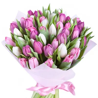 Букет \"51 тюльпан\" №181 - Voki Flowers - квіткова майстерня