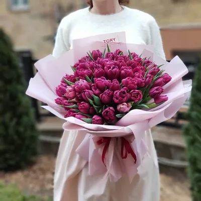 51 белый тюльпан купить в Киеве: цена, заказ, доставка | Магазин «Камелия»