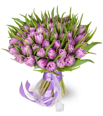 Букет из 51 тюльпана Розовая Камея купить по цене 3386 грн | Украфлора