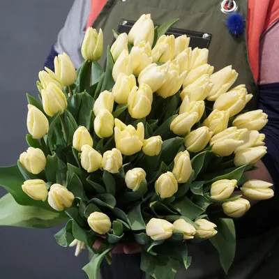 Купить Букет тюльпан 51 шт в Перми недорого с доставкой