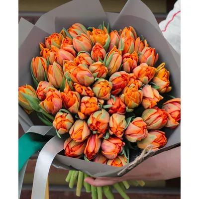 51 Тюльпан в оформлении - Акция на цветы 25 Роз - 2500 руб. Доставка по  Балашихе Бесплатно!!!