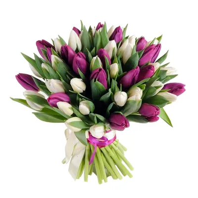 Купить букет 51 тюльпан Дабл Прайс c доставкой по Самаре, цена — заказать  цветы Тюльпаны | Цветочки Бантики