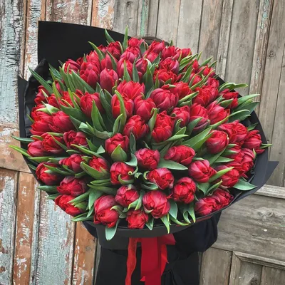 51 белый тюльпан- купить в СПб с доставкой в интернет магазине \"Цветочкин\"