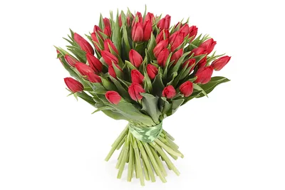 Букет из 51 розового тюльпана - купить в Москве по цене 6690 р - Magic  Flower
