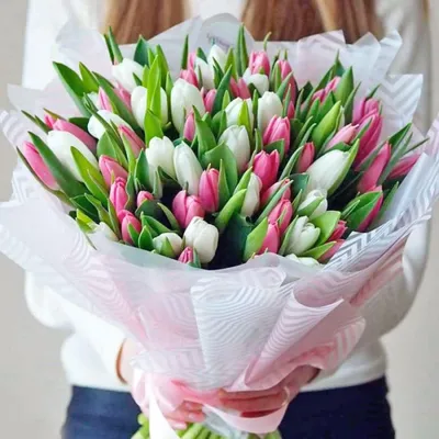 Букет 51 тюльпан купить в Киеве: цена, заказ, доставка | Магазин «Камелия»