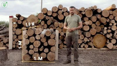 Как не попасться на обман и самому измерить сколько реальных кубов дров  привезли. Даю совет, как посчитать дрова в кузове | Пикабу