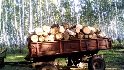 Почему на Алтае очень дорогие дрова и как их купить дешевле