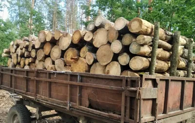 6 кубов дров - это... | Пикабу