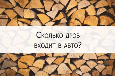 Минлесхоз рассказал, есть ли ажиотаж на дрова и сколько стоит один \"куб\" -  23.06.2022, Sputnik Беларусь