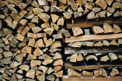 Семьям участников СВО в Башкирии выделили 6 тыс. кубометров дров — РБК
