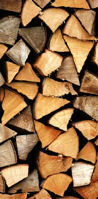 Купить березовые дрова в Сухой Лог по оптимальной цене