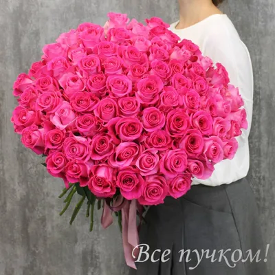 Букет из 75 роз - купить Букет из роз ☎ 8 (964) 914-35-62 Быстрая  Бесплатная Доставка по Краснодару✓ Моre Цветов