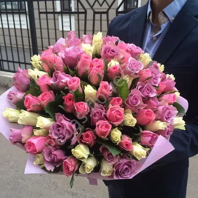 Купить Букет из 75 роз экстра-класса 💐 в СПБ недорого с бесплатной  доставкой | Amsterdam Flowes