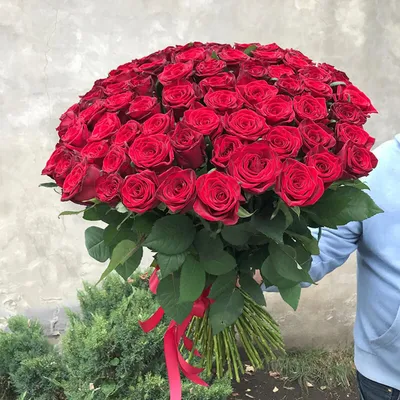 Букет из 75 роз - купить цветы с доставкой в Барнауле | Flowersroom