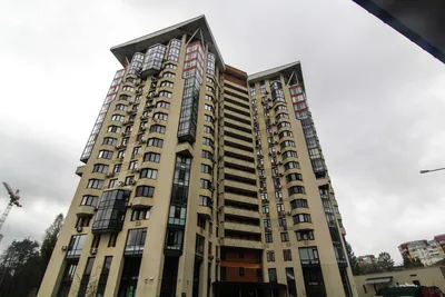 Бюстик на паралоне на размер 70-75А (ID#120065704), цена: 10.62 руб.,  купить на Deal.by