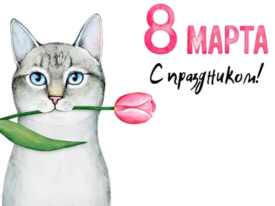 ПРЯНИКОВ ВАМ! Ш / 8 марта :: праздник / смешные картинки и другие приколы:  комиксы, гиф анимация, видео, лучший интеллектуальный юмор.