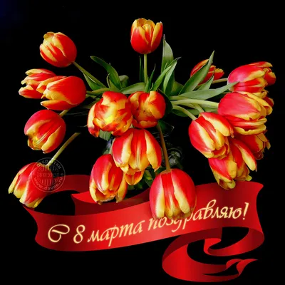 Ассоциация «Сахалинстрой» поздравляет милых дам с 8 марта! — Сахалинстрой