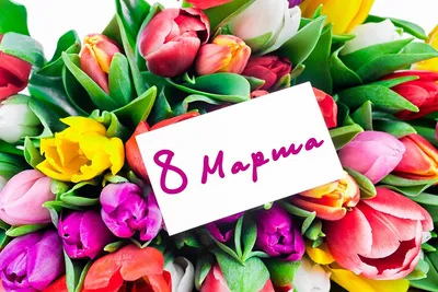 Картинки на 8 марта: красивые, прикольные и необычные открытки к празднику  - МК Новосибирск